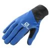 Salomon Discovery Glove (blue Yonder)