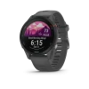 Garmin Forerunner® 255 (Slate Gray)